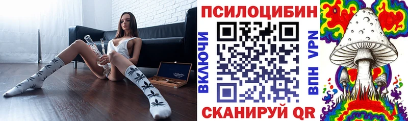 KRAKEN зеркало  Мышкин  Псилоцибиновые грибы Psilocybe  наркота 